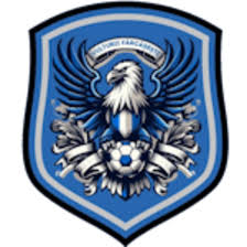 https://img.ikdaily.com/img/football/team/09bb5b9732bc080d522c37e74ce70004.png